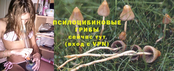 спиды Бородино
