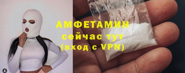 молекула духа Снежинск