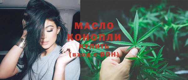 спиды Бородино