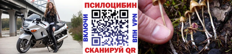 Псилоцибиновые грибы прущие грибы  Нарьян-Мар 
